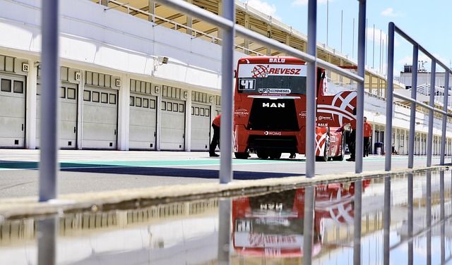 情已经开始 情已经开始