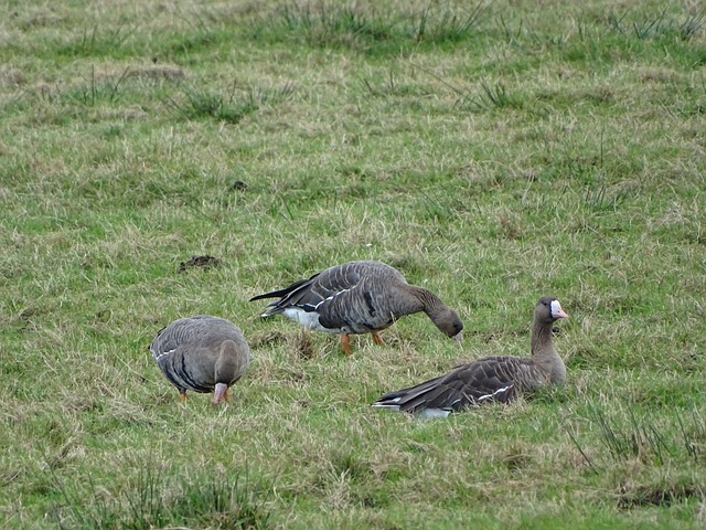 足球学校 足球学校