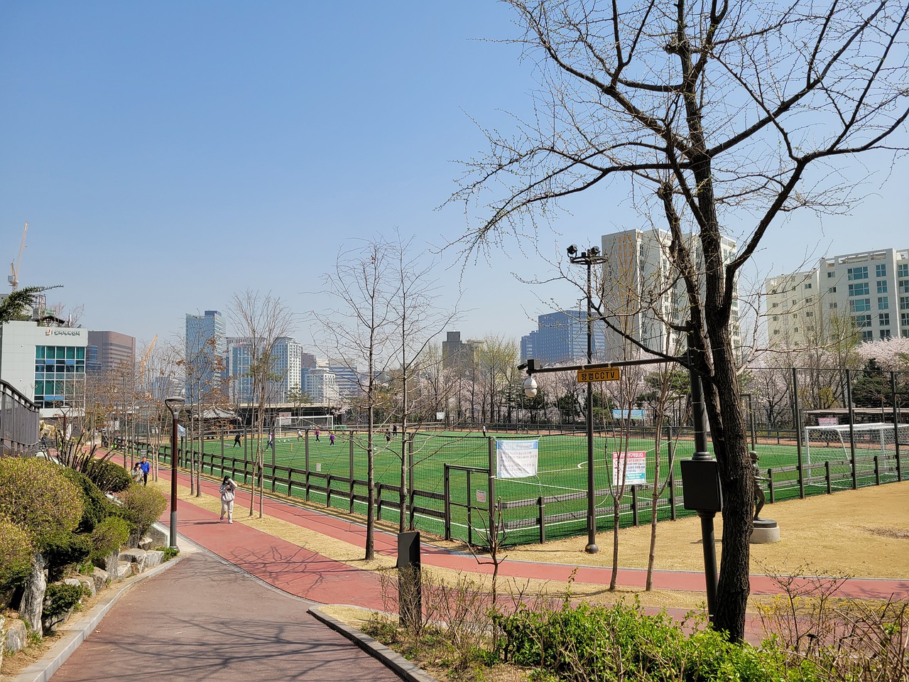 贝赫代表利 贝赫代表利