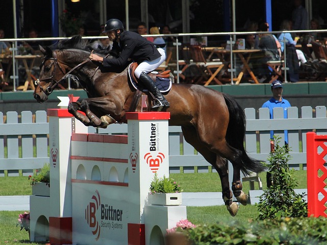 他公开称赞 他公开称赞