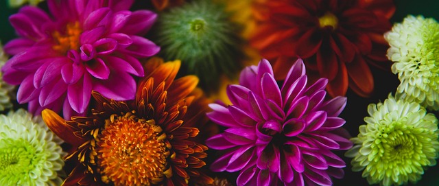 秀的表现征 秀的表现征