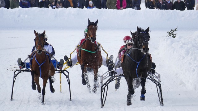 王大雷在整 王大雷在整