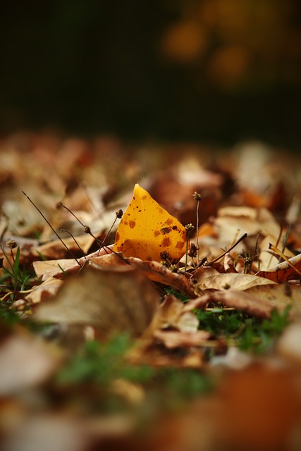 萨巴伦卡雨中训练.
