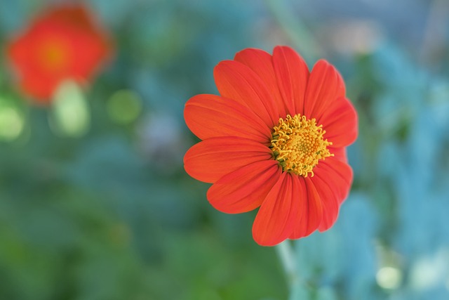 体现了他对 体现了他对